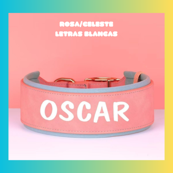 Collar Mascota Personalizados - Imagen 2