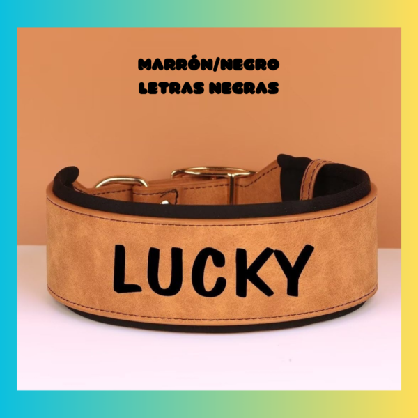 Collar Mascota Personalizados - Imagen 4