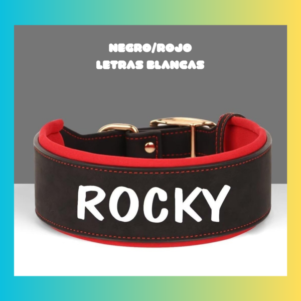 Collar Mascota Personalizados - Imagen 5