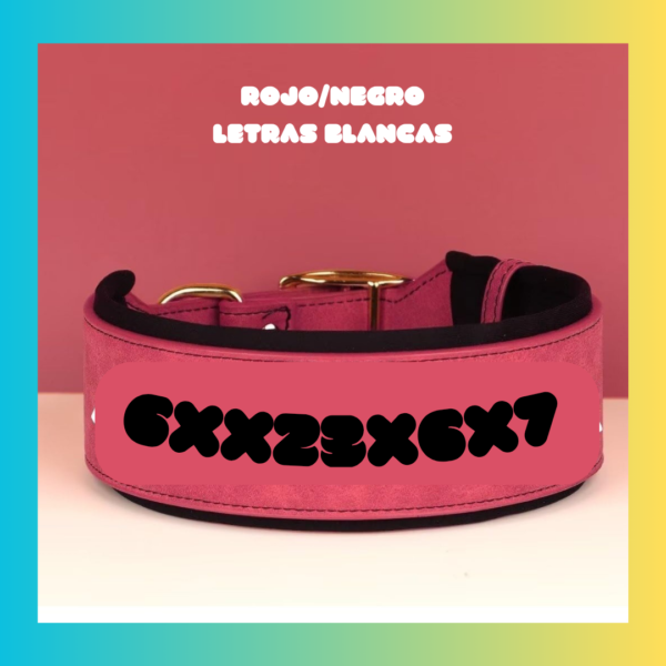 Collar Mascota Personalizados - Imagen 3